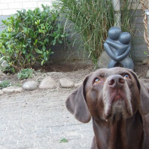 omhoog kijkende hond