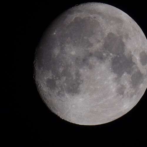 volle maan